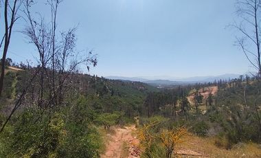 Parcela en Venta en LINCOYAN 425