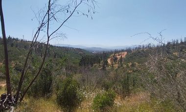 Parcela en Venta en LINCOYAN 425