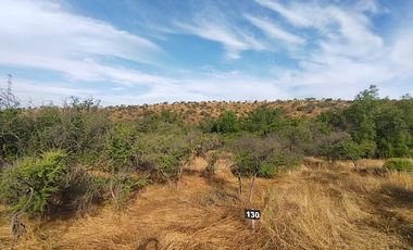 Sitio en Venta en EL BORRIQUERO PARCELA 21 LOTE 1