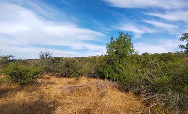 Sitio en Venta en EL BORRIQUERO PARCELA 21 LOTE 1
