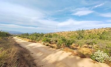 Sitio en Venta en EL BORRIQUERO PARCELA 21 LOTE 1