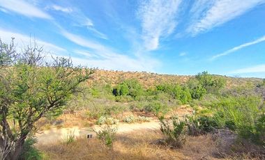 Sitio en Venta en EL BORRIQUERO PARCELA 21 LOTE 1