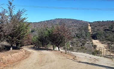 Sitio en Venta en EL BORRIQUERO PARCELA 21 LOTE 1