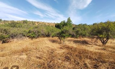 Sitio en Venta en EL BORRIQUERO PARCELA 21 LOTE 1