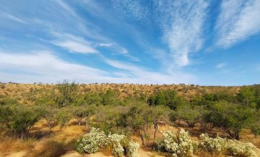 Sitio en Venta en EL BORRIQUERO PARCELA 21 LOTE 1