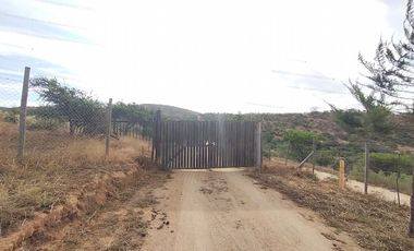 Sitio en Venta en EL BORRIQUERO PARCELA 21 LOTE 1