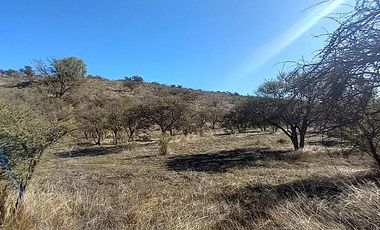Sitio en Venta en EL BORRIQUERO PARCELA 21 LOTE 1