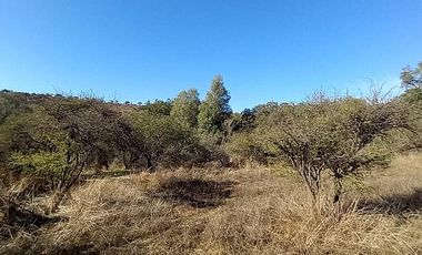 Sitio en Venta en EL BORRIQUERO PARCELA 21 LOTE 1