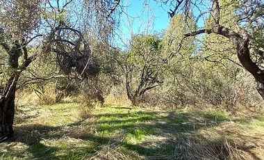 Sitio en Venta en EL BORRIQUERO PARCELA 21 LOTE 1