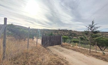 Sitio en Venta en EL BORRIQUERO PARCELA 21 LOTE 1