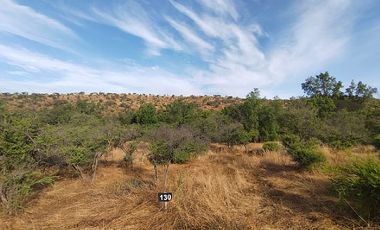 Sitio en Venta en EL BORRIQUERO PARCELA 21 LOTE 1