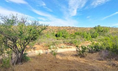 Sitio en Venta en EL BORRIQUERO PARCELA 21 LOTE 1