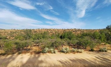Sitio en Venta en EL BORRIQUERO PARCELA 21 LOTE 1