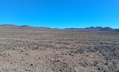 VENDE 100 HECTAREAS VALLENAR, CHILE