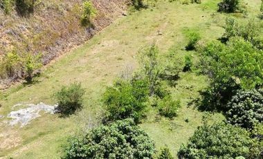 Lotes en Venta Loma Hermosa, san jerónimo, ant.