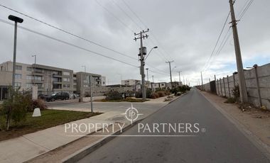 ARRIENDO TERRENO 5.000 m² – SECTOR LA FLORIDA, LA SERENA