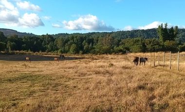 Venta de Parcela en Relún, Villarrica