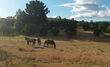 Venta de Parcela en Relún, Villarrica