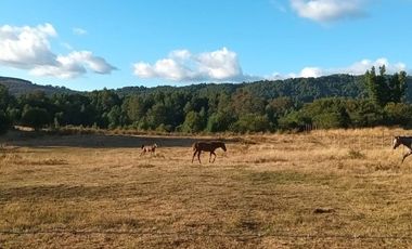 Venta de Parcela en Relún, Villarrica