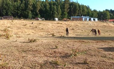 Venta de Parcela en Relún, Villarrica