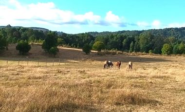 Venta de Parcela en Relún, Villarrica