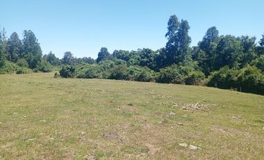 Parcela de Sueños, Choroico, Ruta T-667