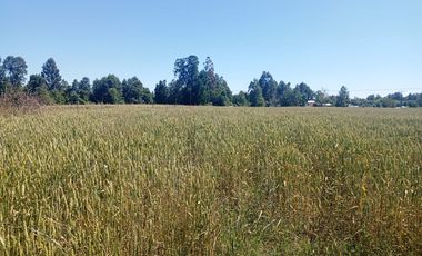 Parcela de Sueños, Choroico, Ruta T-667