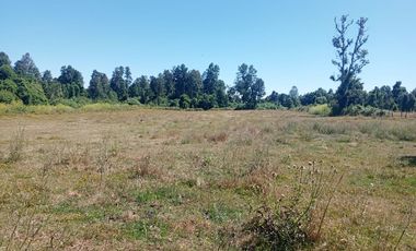 Parcela de Sueños, Choroico, Ruta T-667