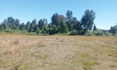 Parcela de Sueños, Choroico, Ruta T-667