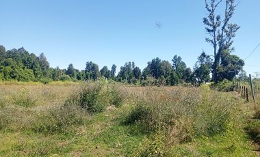 Parcela de Sueños, Choroico, Ruta T-667