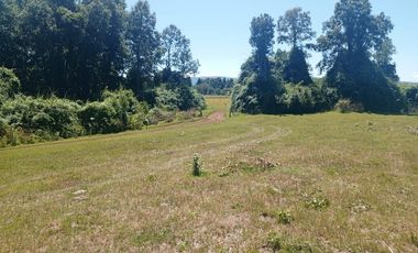 Parcela de Sueños, Choroico, Ruta T-667