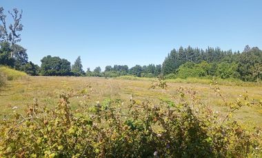 Parcela de Sueños, Choroico, Ruta T-667