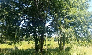 Parcela de Sueños, Choroico, Ruta T-667