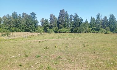 Parcela de Sueños, Choroico, Ruta T-667