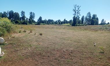 Parcela de Sueños, Choroico, Ruta T-667