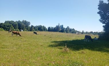 Parcela de Sueños, Choroico, Ruta T-667