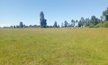 Parcela de Sueños, Choroico, Ruta T-667