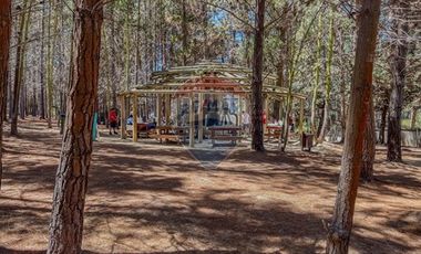 Departamento en Condominio Alto las Cruces