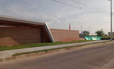 ARRIENDO de APARTAMENTO en NEIVA