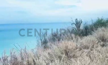 VENDO 4 Y 8 HECTAREAS FRENTE AL MAR -JARAMIJO