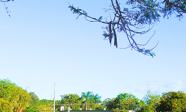 Propiedad multifuncional sobre carretera Calderitas–Laguna Guerrero,Quintana Roo