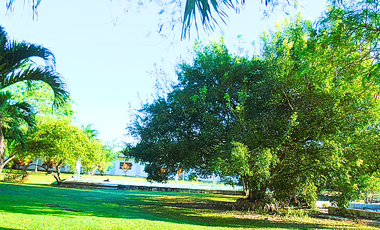 Propiedad multifuncional sobre carretera Calderitas–Laguna Guerrero,Quintana Roo