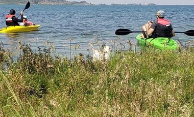 Parcela en Venta en LOTEO MACHICURA LAGO MACHICURA