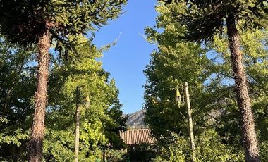 Casa en Venta en Casona Chilena completamente amoblada, impecable con lindo parque y plantación de nogales.