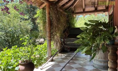 Parcela en Venta en Casona Chilena completamente amoblada, impecable con lindo parque y plantación de nogales.