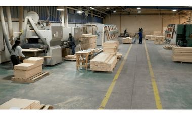 Planta Industrial + Terreno