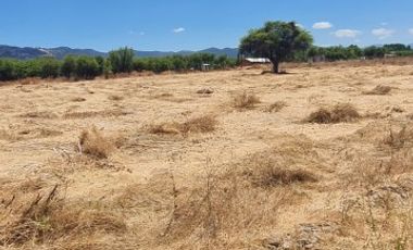 PARCELA EN SAN VICENTE