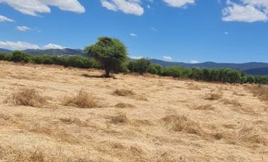 PARCELA EN SAN VICENTE