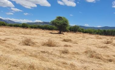 PARCELA EN SAN VICENTE