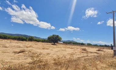 PARCELA EN SAN VICENTE